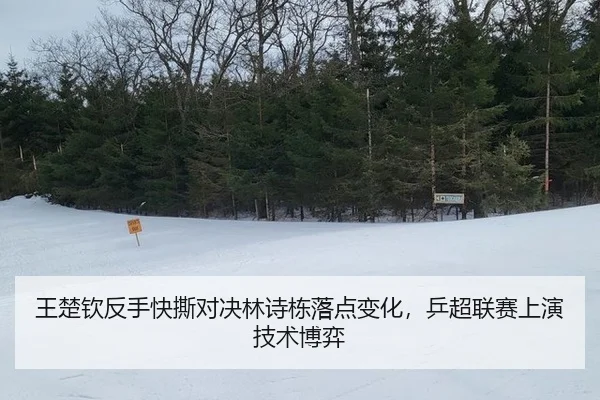 wang-chu-qin-fan-shou-kuai-si-dui-jue-lin-shi-dong-luo-dian-bian-hua-ping-chao-lian-sai-shang-yan-ji-shu-bo-yi-3-334.jpg