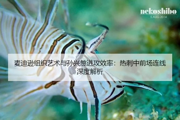 mai-di-xun-zu-zhi-yi-shu-yu-sun-xing-min-jin-gong-xiao-lv-re-ci-zhong-qian-chang-lian-xian-shen-du-jie-xi-2-987.jpg
